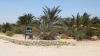 El Gouna Farm 111